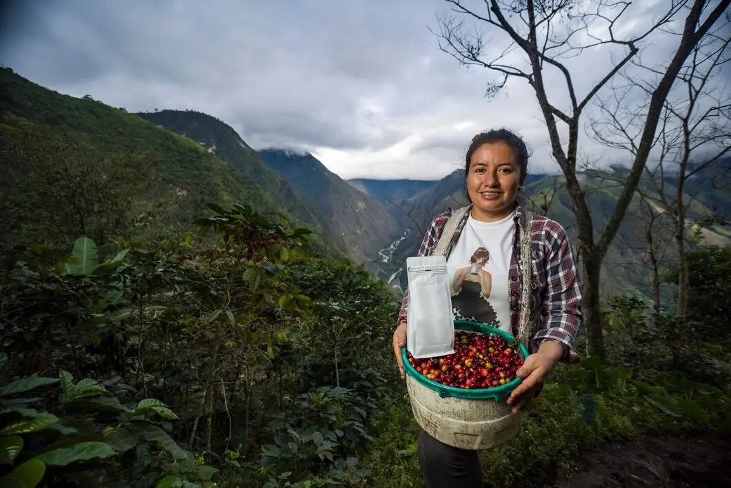 قهوه ۱۰۰ عربیکا کلمبیا